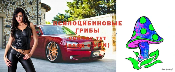 МДПВ Сосновка