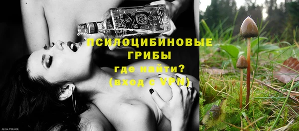 МДПВ Сосновка